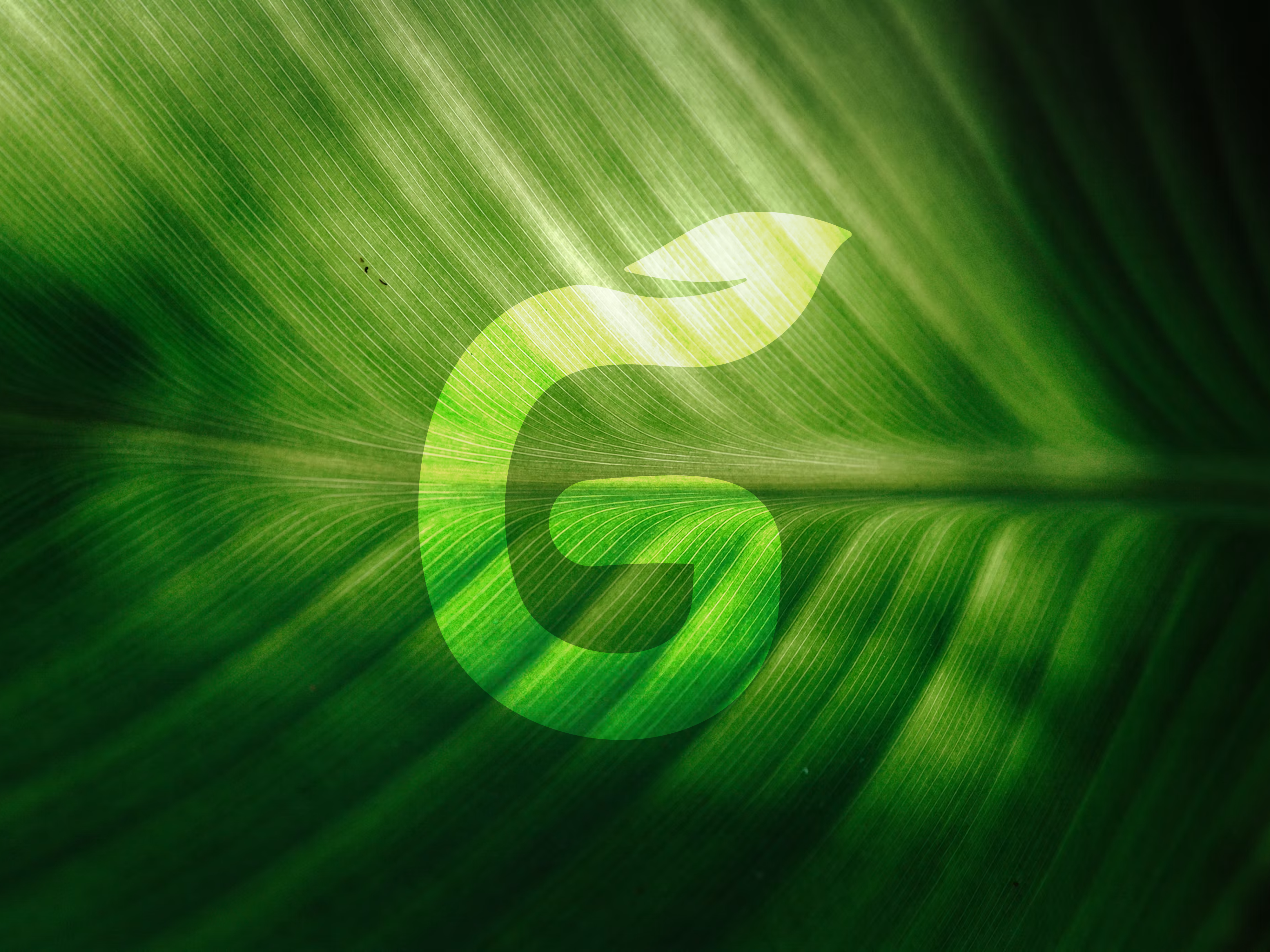 Greenmove trykt kampagnemateriale